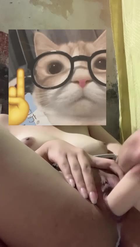 Vavyvio 1